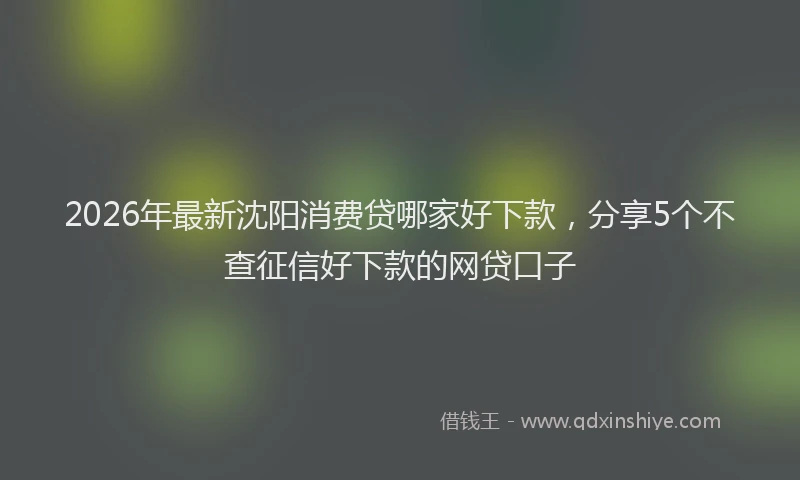 2026年最新沈阳消费贷哪家好下款，分享5个不查征信好下款的网贷口子