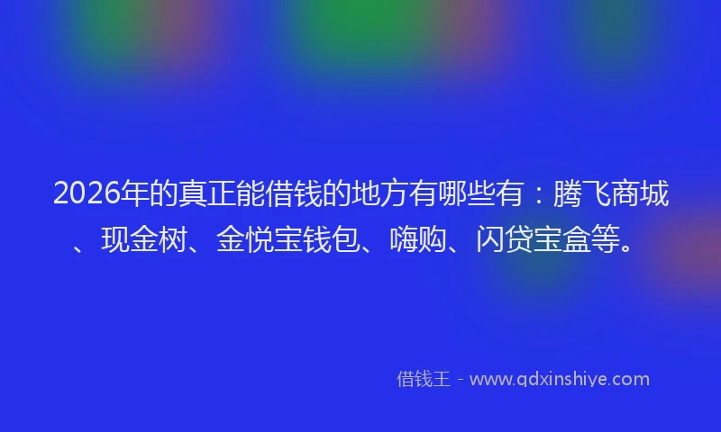 2026年的真正能借钱的地方有哪些有：腾飞商城、现金树、金悦宝钱包、嗨购、闪贷宝盒等。
