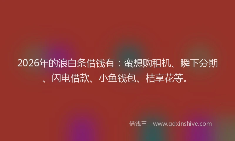 2026年的浪白条借钱有：蛮想购租机、瞬下分期、闪电借款、小鱼钱包、桔享花等。