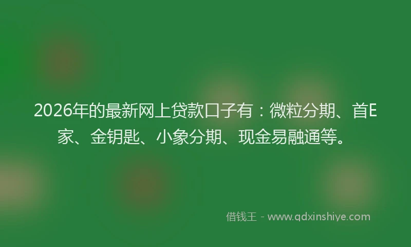 2026年的最新网上贷款口子有：微粒分期、首E家、金钥匙、小象分期、现金易融通等。