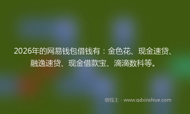 2026年的网易钱包借钱有：金色花、现金速贷、融逸速贷、现金借款宝、滴滴数科等。