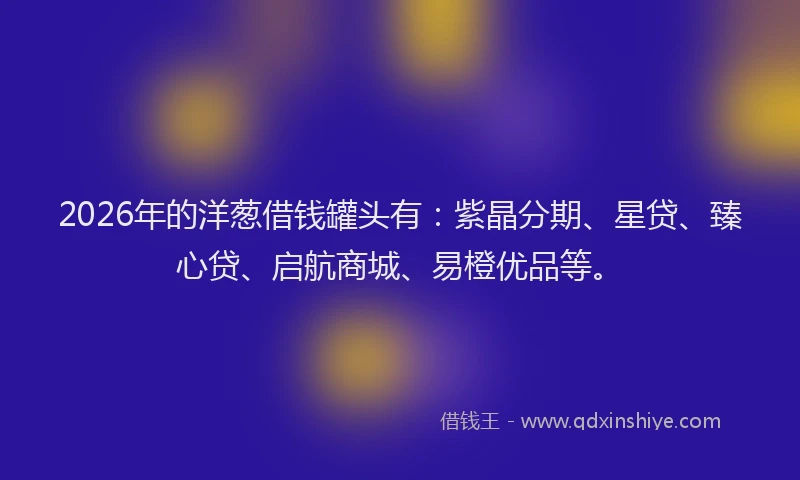 2026年的洋葱借钱罐头有：紫晶分期、星贷、臻心贷、启航商城、易橙优品等。