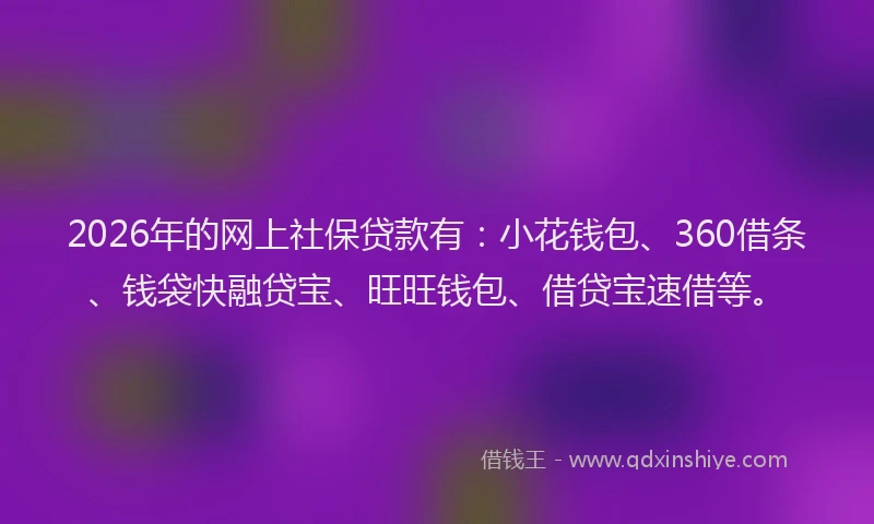 2026年的网上社保贷款有：小花钱包、360借条、钱袋快融贷宝、旺旺钱包、借贷宝速借等。