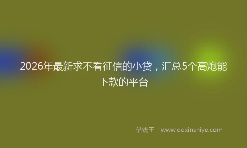 2026年最新求不看征信的小贷，汇总5个高炮能下款的平台
