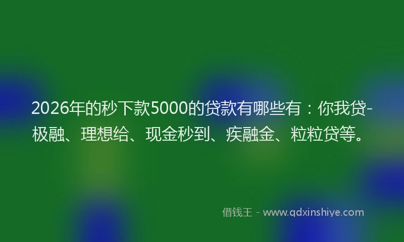 2026年的秒下款5000的贷款有哪些有：你我贷-极融、理想给、现金秒到、疾融金、粒粒贷等。