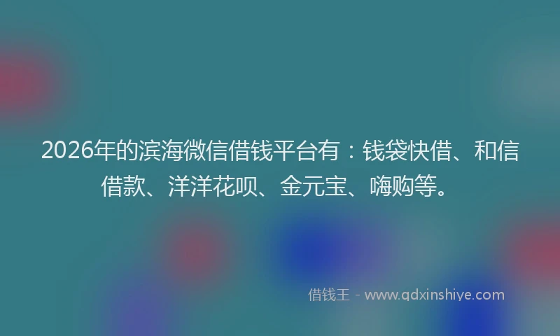 2026年的滨海微信借钱平台有：钱袋快借、和信借款、洋洋花呗、金元宝、嗨购等。