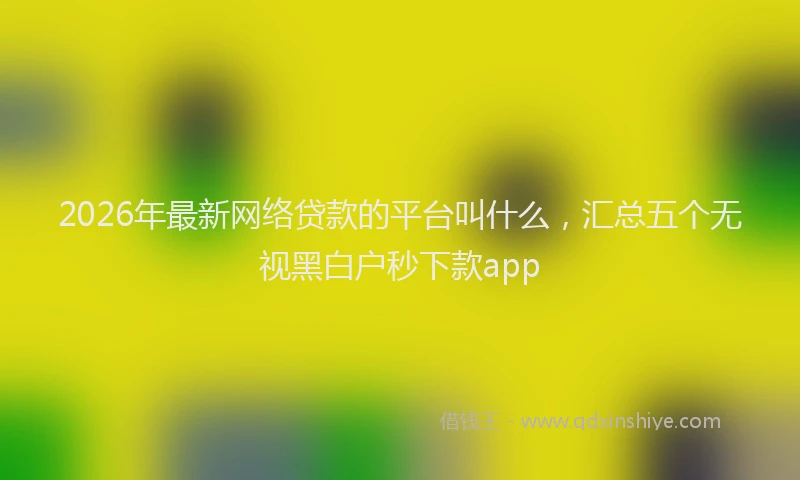 2026年最新网络贷款的平台叫什么，汇总五个无视黑白户秒下款app