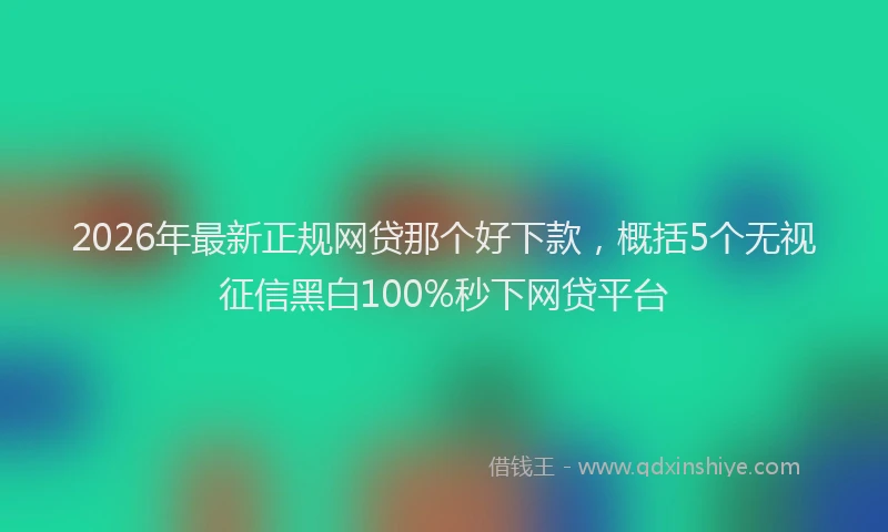 2026年最新正规网贷那个好下款，概括5个无视征信黑白100%秒下网贷平台