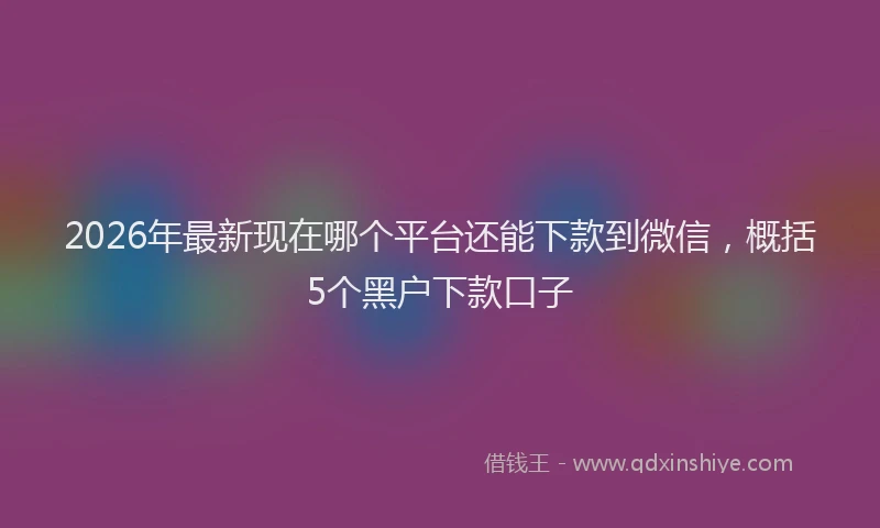 2026年最新现在哪个平台还能下款到微信，概括5个黑户下款口子