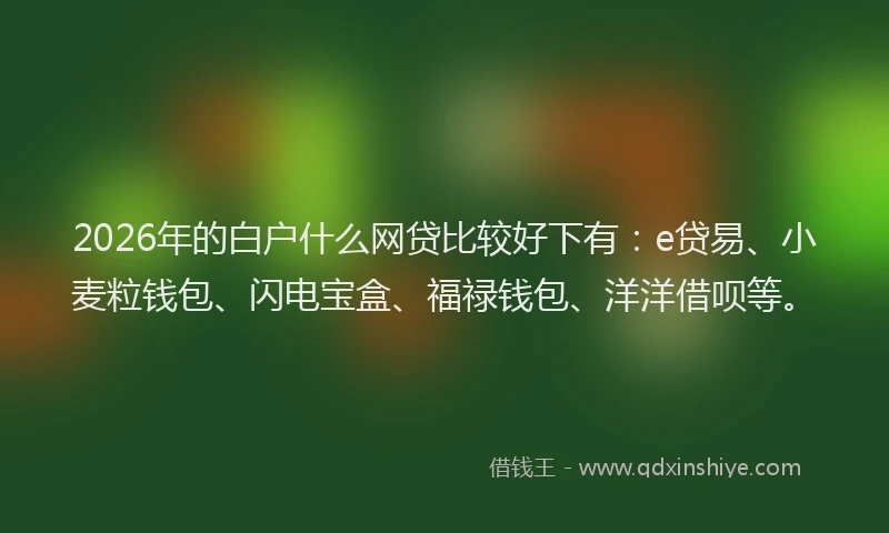 2026年的白户什么网贷比较好下有：e贷易、小麦粒钱包、闪电宝盒、福禄钱包、洋洋借呗等。