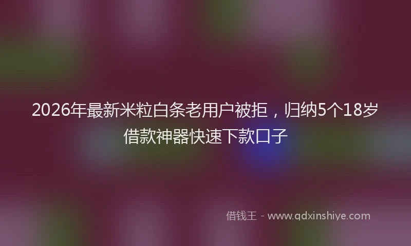 2026年最新米粒白条老用户被拒，归纳5个18岁借款神器快速下款口子
