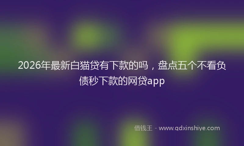 2026年最新白猫贷有下款的吗，盘点五个不看负债秒下款的网贷app