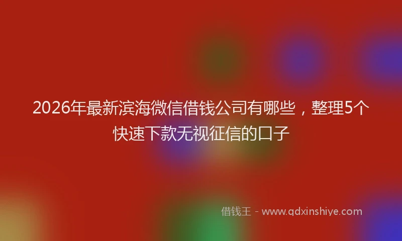 2026年最新滨海微信借钱公司有哪些，整理5个快速下款无视征信的口子