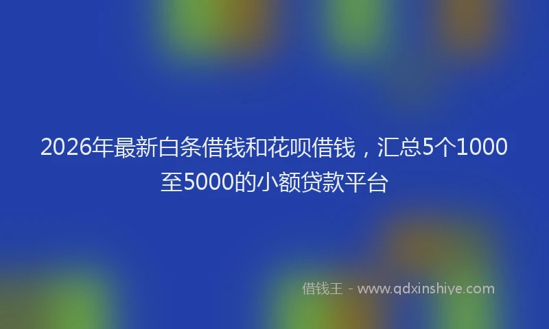 2026年最新白条借钱和花呗借钱，汇总5个1000至5000的小额贷款平台