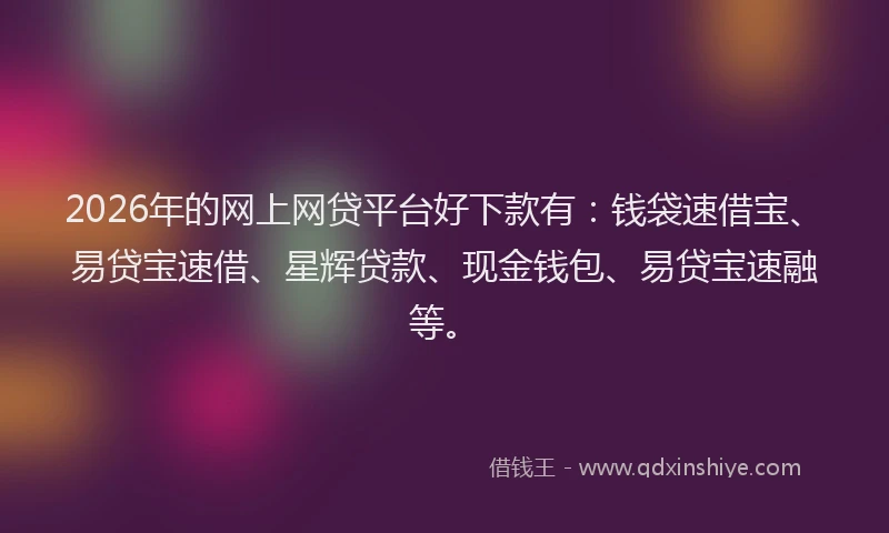 2026年的网上网贷平台好下款有：钱袋速借宝、易贷宝速借、星辉贷款、现金钱包、易贷宝速融等。