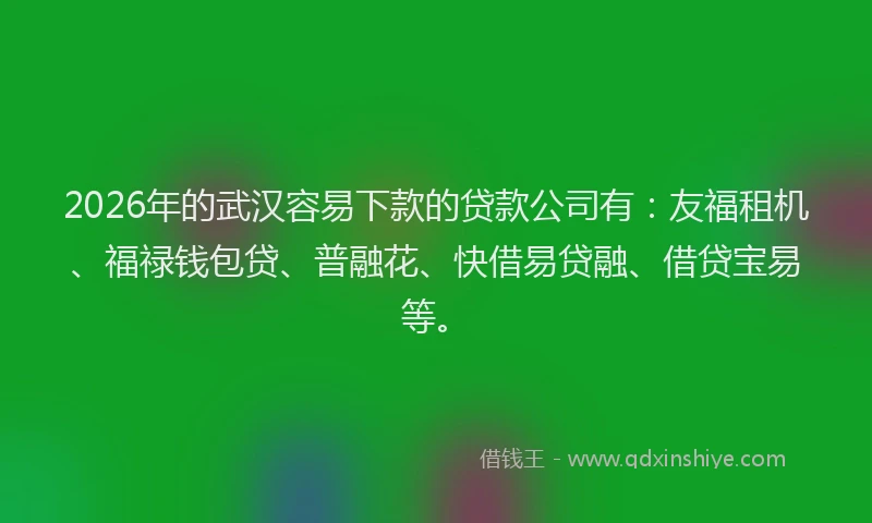 2026年的武汉容易下款的贷款公司有：友福租机、福禄钱包贷、普融花、快借易贷融、借贷宝易等。