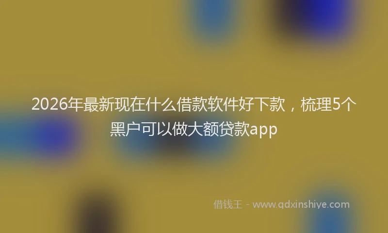 2026年最新现在什么借款软件好下款，梳理5个黑户可以做大额贷款app