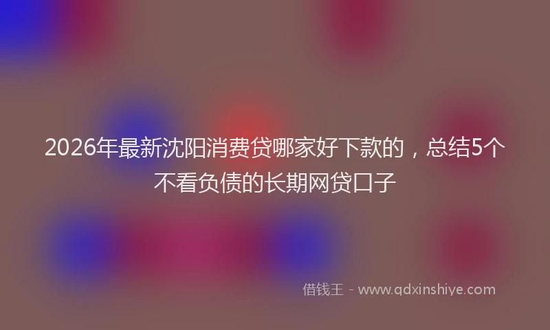 2026年最新沈阳消费贷哪家好下款的，总结5个不看负债的长期网贷口子