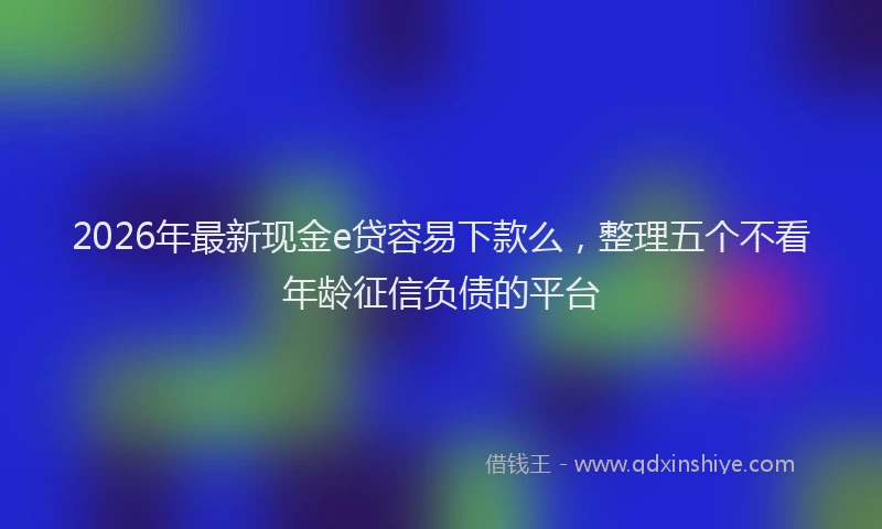 2026年最新现金e贷容易下款么，整理五个不看年龄征信负债的平台