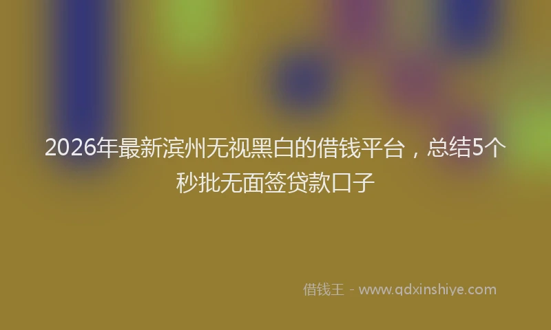 2026年最新滨州无视黑白的借钱平台，总结5个秒批无面签贷款口子