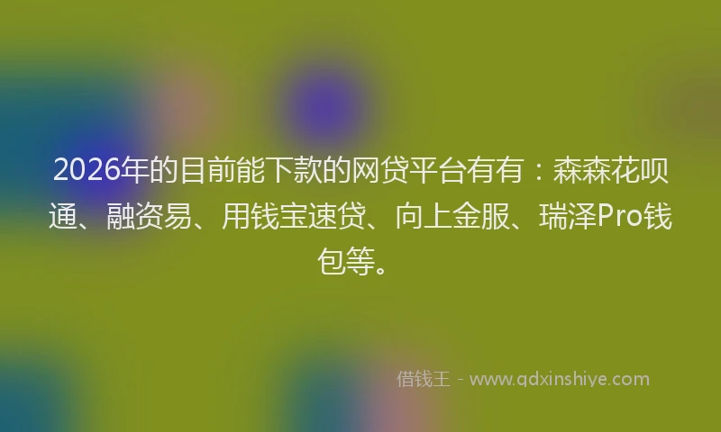 2026年的目前能下款的网贷平台有有：森森花呗通、融资易、用钱宝速贷、向上金服、瑞泽Pro钱包等。