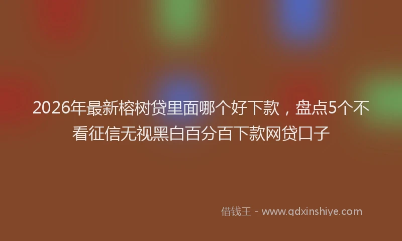 2026年最新榕树贷里面哪个好下款，盘点5个不看征信无视黑白百分百下款网贷口子