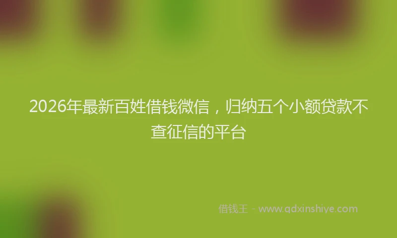 2026年最新百姓借钱微信，归纳五个小额贷款不查征信的平台