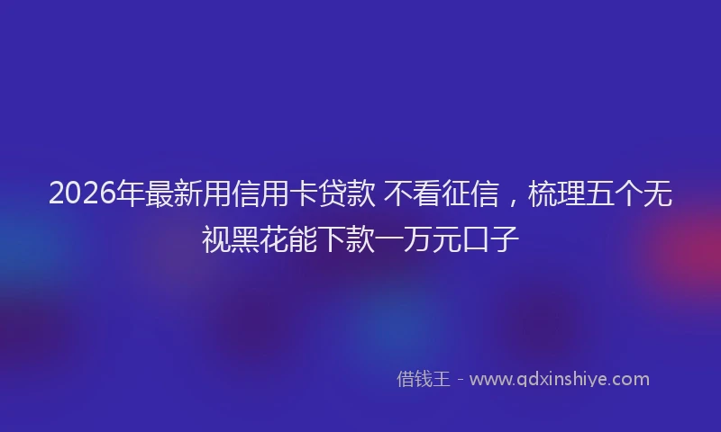 2026年最新用信用卡贷款 不看征信，梳理五个无视黑花能下款一万元口子