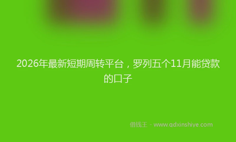 2026年最新短期周转平台，罗列五个11月能贷款的口子