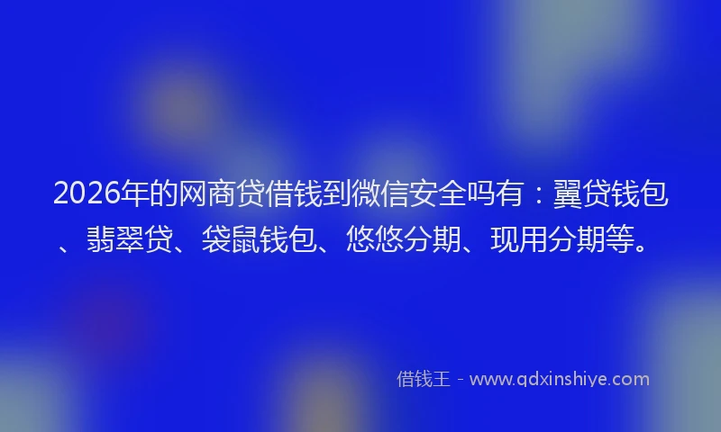 2026年的网商贷借钱到微信安全吗有：翼贷钱包、翡翠贷、袋鼠钱包、悠悠分期、现用分期等。