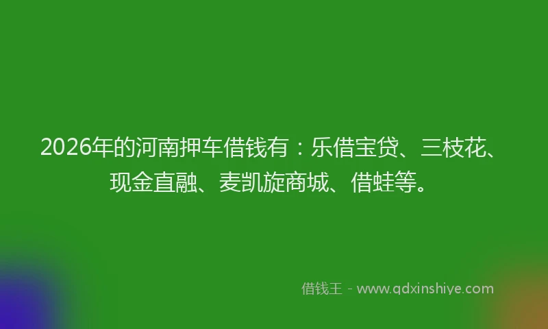 2026年的河南押车借钱有：乐借宝贷、三枝花、现金直融、麦凯旋商城、借蛙等。