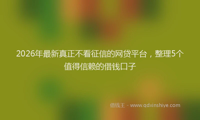 2026年最新真正不看征信的网贷平台，整理5个值得信赖的借钱口子