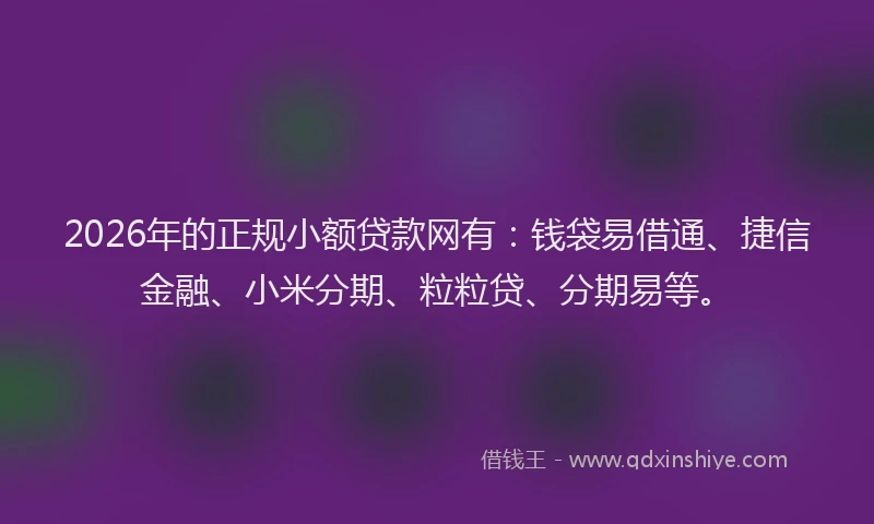 2026年的正规小额贷款网有：钱袋易借通、捷信金融、小米分期、粒粒贷、分期易等。