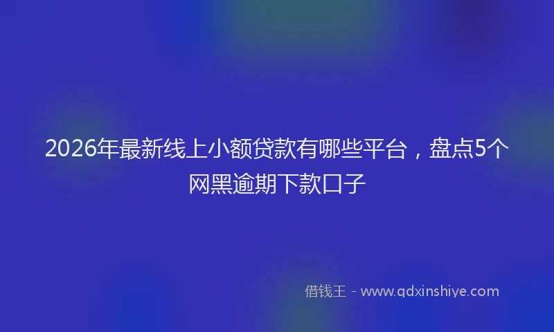 2026年最新线上小额贷款有哪些平台，盘点5个网黑逾期下款口子