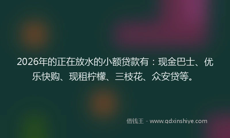 2026年的正在放水的小额贷款有：现金巴士、优乐快购、现租柠檬、三枝花、众安贷等。