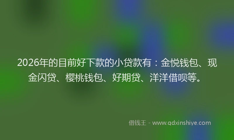 2026年的目前好下款的小贷款有：金悦钱包、现金闪贷、樱桃钱包、好期贷、洋洋借呗等。