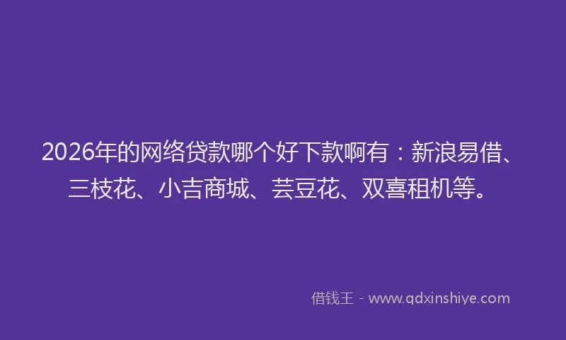 2026年的网络贷款哪个好下款啊有：新浪易借、三枝花、小吉商城、芸豆花、双喜租机等。