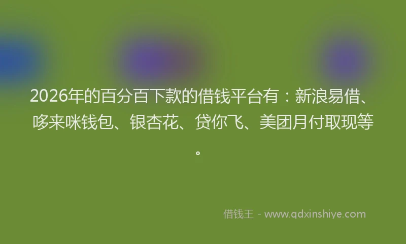 2026年的百分百下款的借钱平台有：新浪易借、哆来咪钱包、银杏花、贷你飞、美团月付取现等。