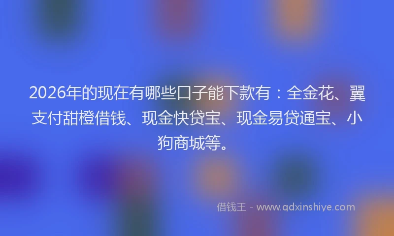 2026年的现在有哪些口子能下款有：全金花、翼支付甜橙借钱、现金快贷宝、现金易贷通宝、小狗商城等。