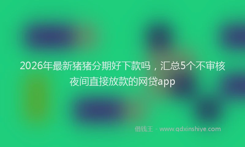2026年最新猪猪分期好下款吗，汇总5个不审核夜间直接放款的网贷app