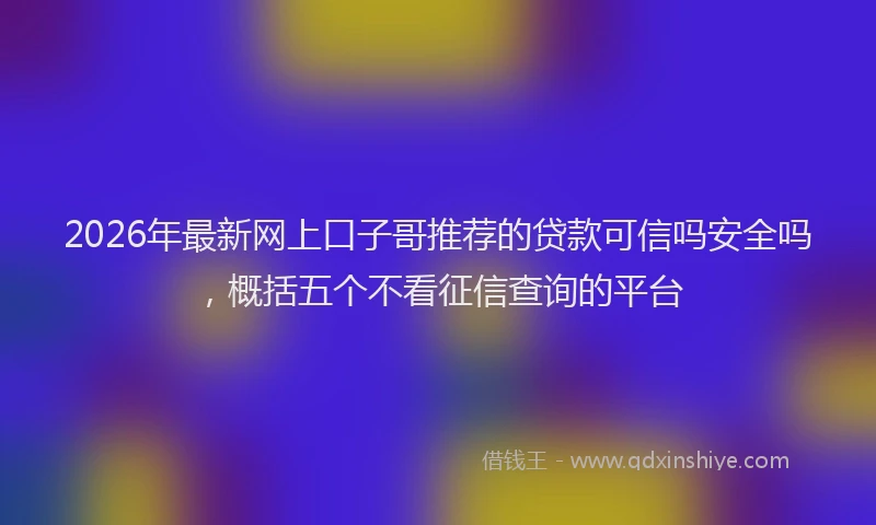 2026年最新网上口子哥推荐的贷款可信吗安全吗，概括五个不看征信查询的平台
