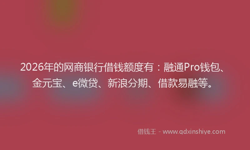 2026年的网商银行借钱额度有：融通Pro钱包、金元宝、e微贷、新浪分期、借款易融等。