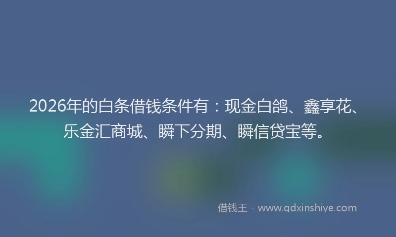 2026年的白条借钱条件有：现金白鸽、鑫享花、乐金汇商城、瞬下分期、瞬信贷宝等。