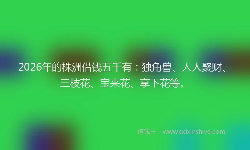 2026年的株洲借钱五千有：独角兽、人人聚财、三枝花、宝来花、享下花等。