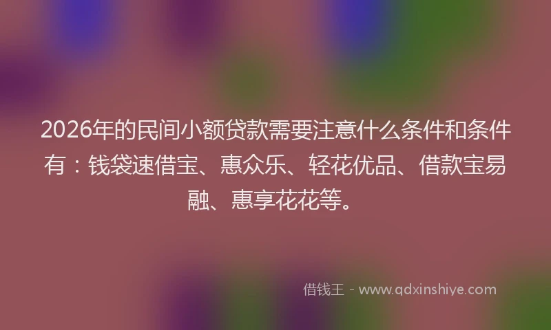 2026年的民间小额贷款需要注意什么条件和条件有：钱袋速借宝、惠众乐、轻花优品、借款宝易融、惠享花花等。