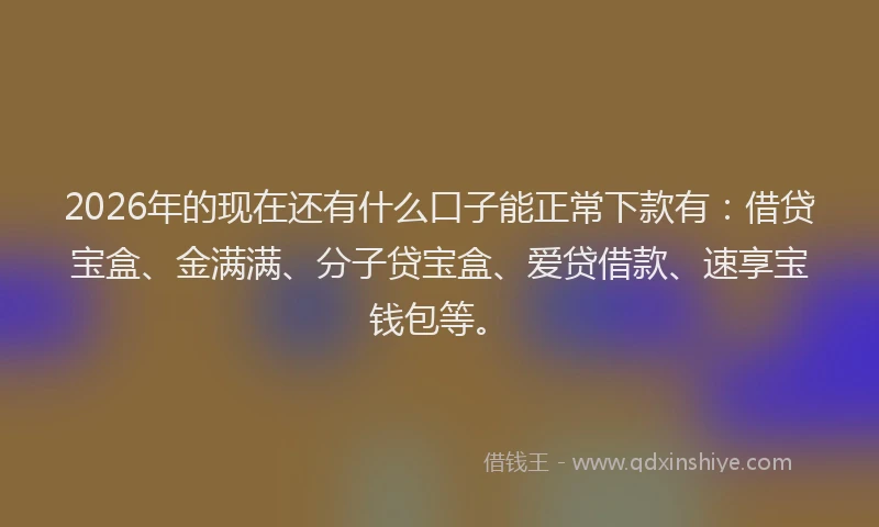 2026年的现在还有什么口子能正常下款有：借贷宝盒、金满满、分子贷宝盒、爱贷借款、速享宝钱包等。