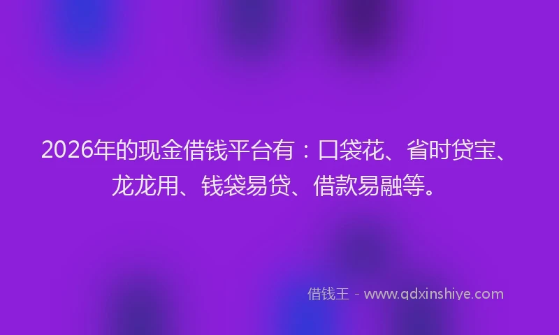 2026年的现金借钱平台有：口袋花、省时贷宝、龙龙用、钱袋易贷、借款易融等。