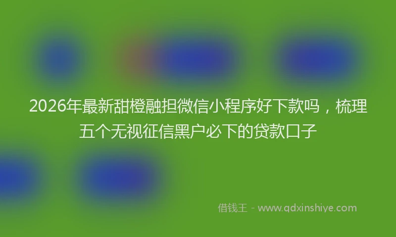 2026年最新甜橙融担微信小程序好下款吗，梳理五个无视征信黑户必下的贷款口子