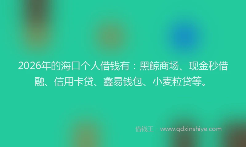 2026年的海口个人借钱有：黑鲸商场、现金秒借融、信用卡贷、鑫易钱包、小麦粒贷等。