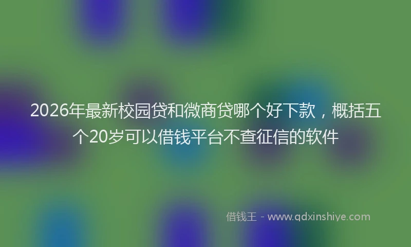 2026年最新校园贷和微商贷哪个好下款，概括五个20岁可以借钱平台不查征信的软件